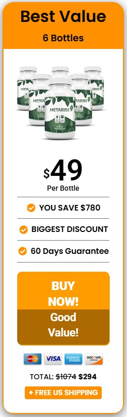 MetaRise 6 Bottle Price